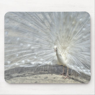 White Peacock Mouse Pad