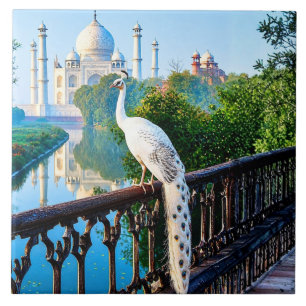 White Peacock Overlooking the Taj Mahal Ceramic Tile