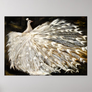 White Peacock Painting Poster