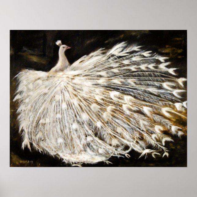 White Peacock Painting Print Posters Art (Front)