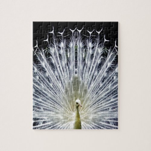 White Peacock Pavo Animalia Jigsaw Puzzle