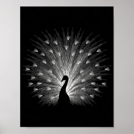 White peacock poster