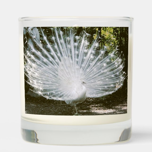 White Peacock Scented Candle (Front)