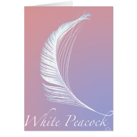 White Peacock Tail Cards (Front)