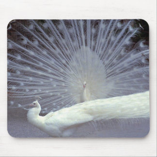 White Peacocks Mousepad