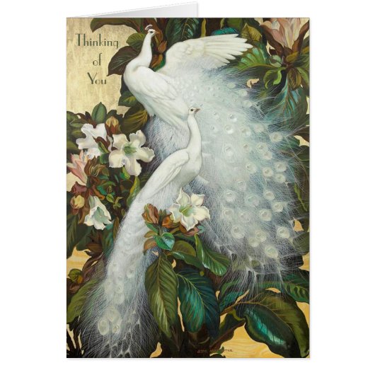 White Peacocks Roosting Cards (Front)