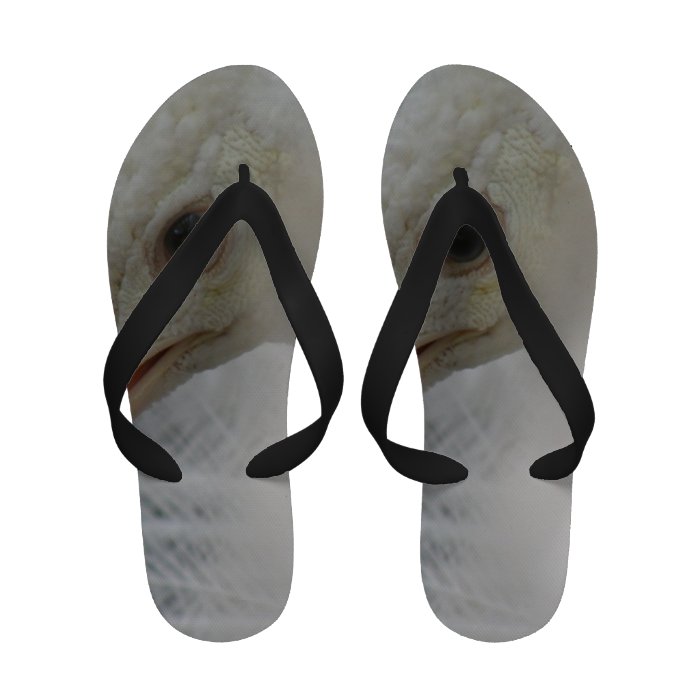 White Peafowl Flip Flops