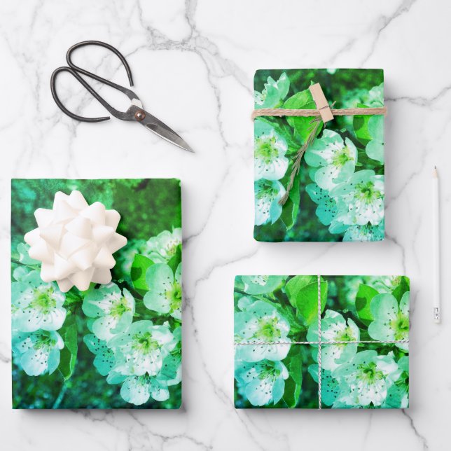White pear blossoms in spring wrapping paper sheets (Front)