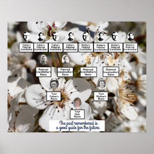 White Pear Blossoms Photo Family Tree Poster