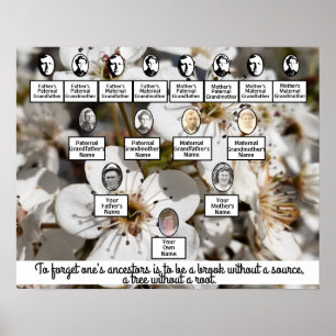 White Pear Blossoms Photo Family Tree Poster
