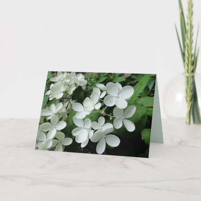 White Pee Gee Hydrangea Flowers Blank Note Card (Front)