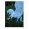 White Pegasus