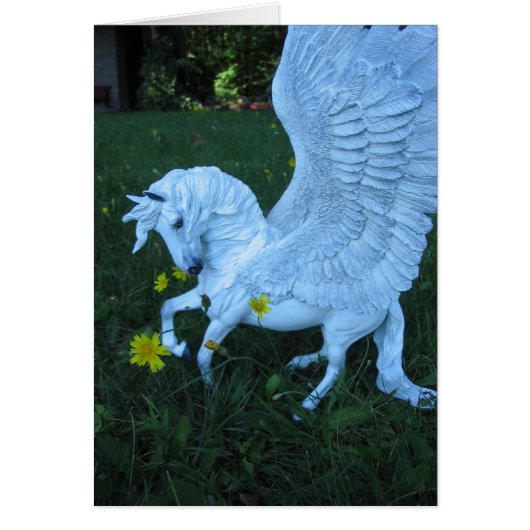 White Pegasus Cards (Front)