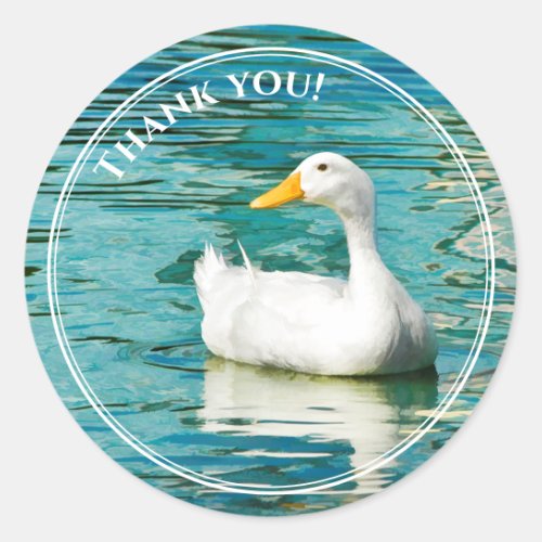 White Pekin Duck  _ Nature Photo Lake Reflections Classic Round Sticker