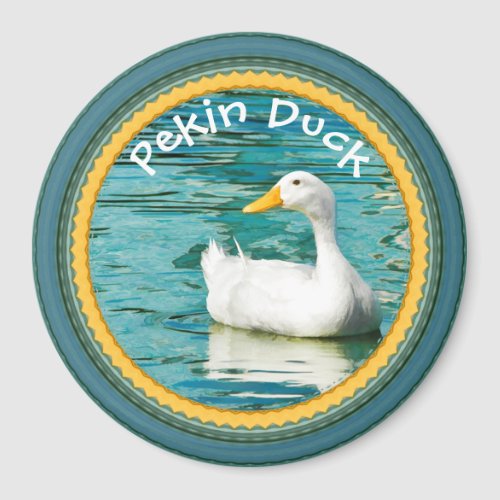 White Pekin Duck  _ Nature Photography Urban Lake Magnet