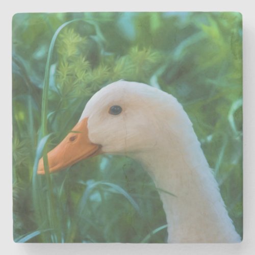 White Pekin Duck Stone Coaster