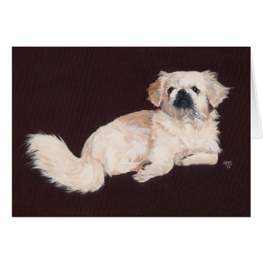 White Pekingese Dog (Front Horizontal)