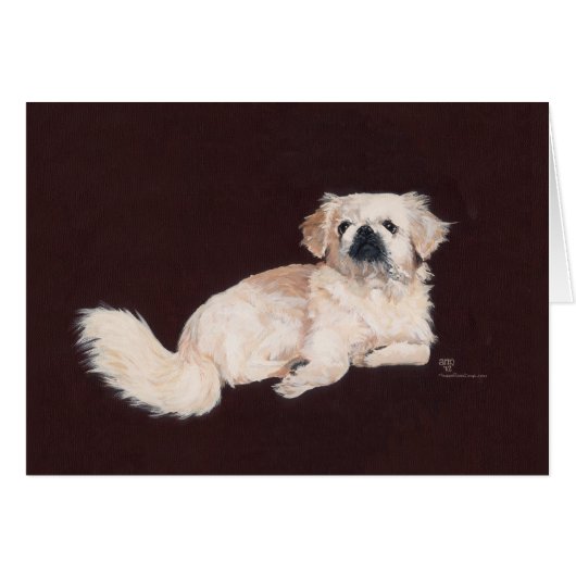 White Pekingese Dog Cards (Front Horizontal)