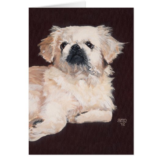 White Pekingese Dog Cards (Front)