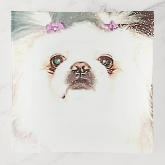 White Pekingese Dog Trinket Tray (Front)
