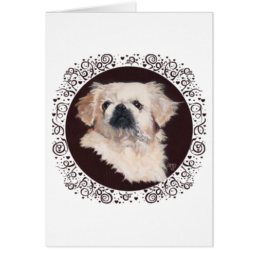 White Pekingese Head Study Cards (Front)