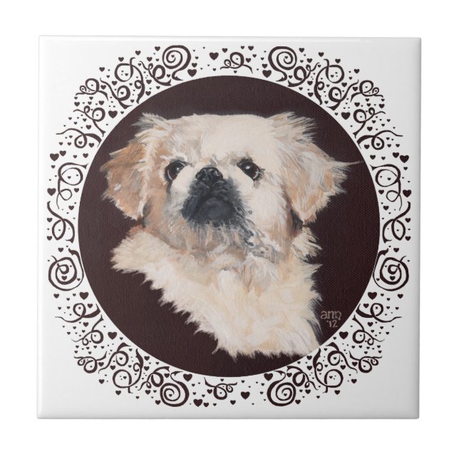 White Pekingese Head Study Tile (Front)