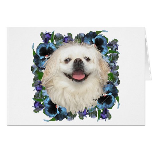 White Pekingese with Pansies (Front Horizontal)