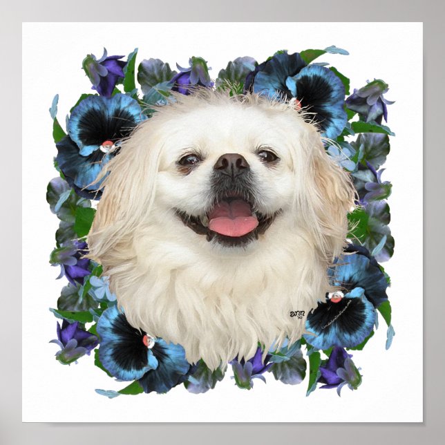 White Pekingese with Pansies Poster (Front)