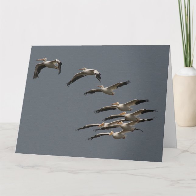 White Pelican Bird Wildlife Birthday Greeting Card (Front)