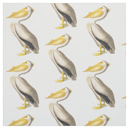 White Pelican Fabric