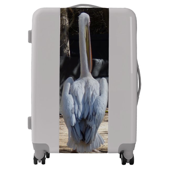 White Pelican Luggage (Front)
