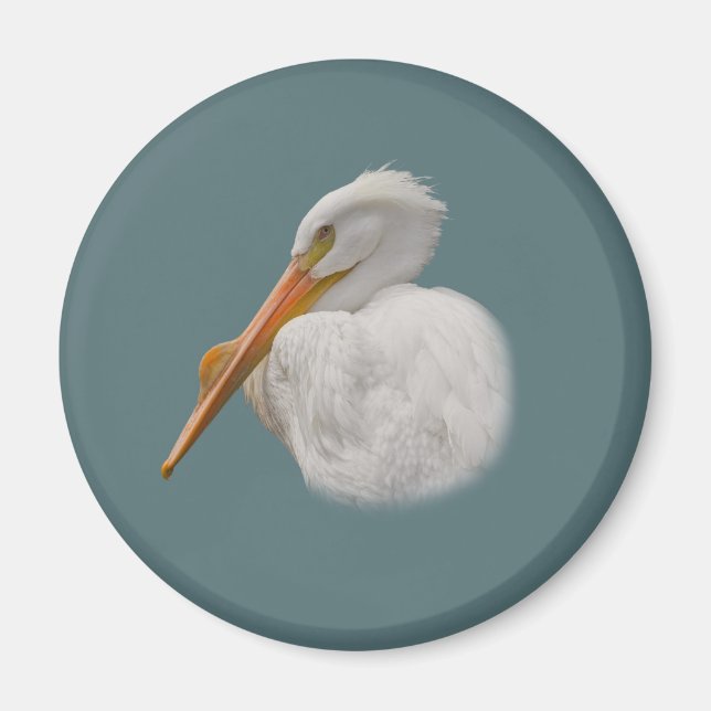White Pelican Magnet (Front)