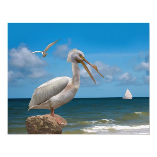 White Pelican on a Rock Photo Print