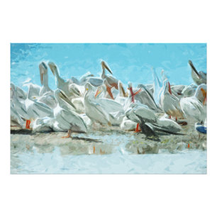 White Pelicans and Black Cormorant Abstract Photo Print