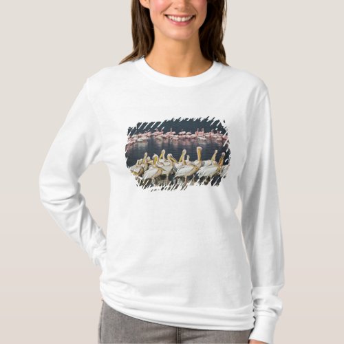 White Pelicans Pelecanus onocrotalus Lake T_Shirt