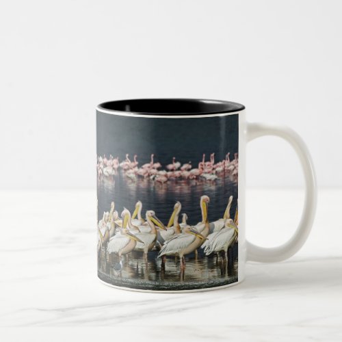 White Pelicans Pelecanus onocrotalus Lake Two_Tone Coffee Mug