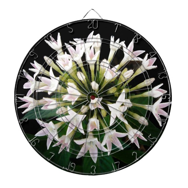 White Pentas Dartboard With Darts (Front)