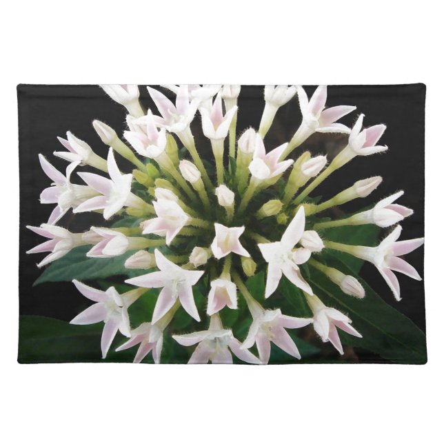 White Pentas Placemat (Front)
