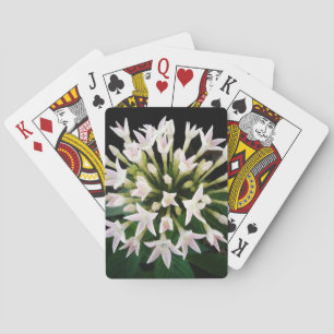White Pentas Poker Cards