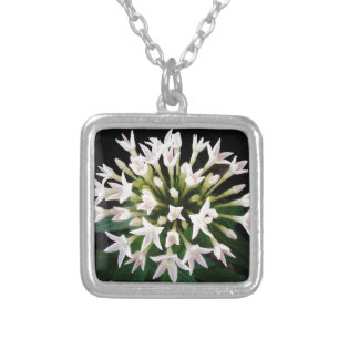 White Pentas Silver Plated Necklace