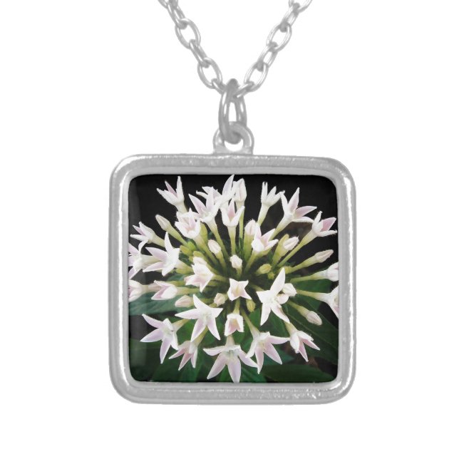 White Pentas Silver Plated Necklace (Front)