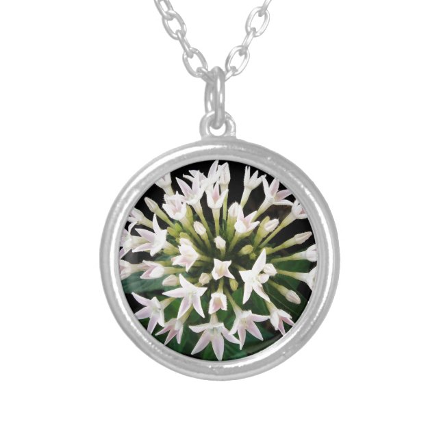 White Pentas Silver Plated Necklace (Front)