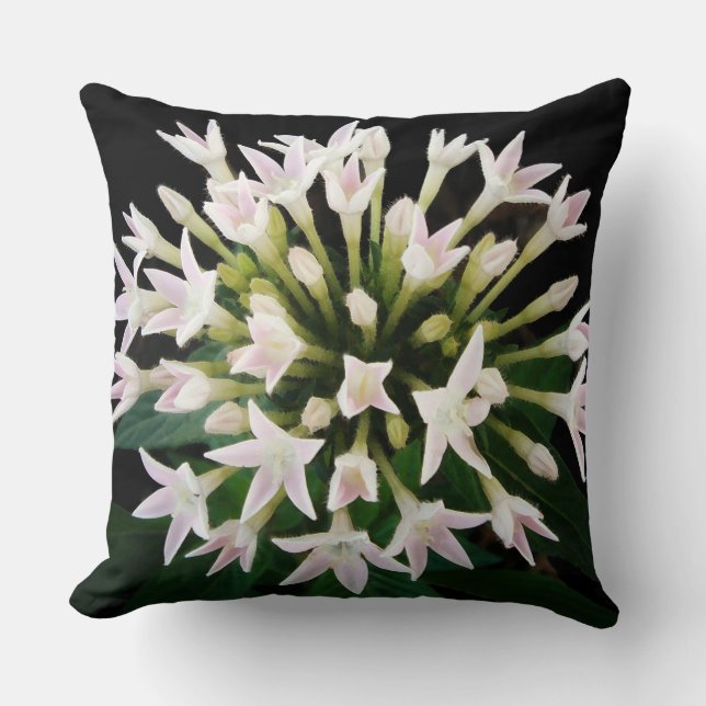 White Pentas Throw Pillow (Front)
