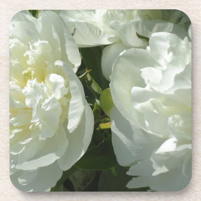 White Peonies Beverage Coaster (Front)