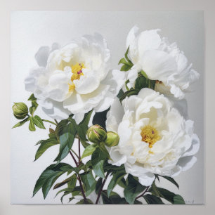 White Peonies Flower Art Print Poster