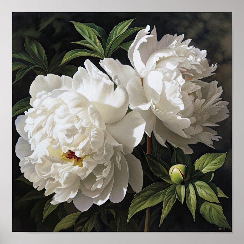 White Peonies Flower Art Print Poster (Front)