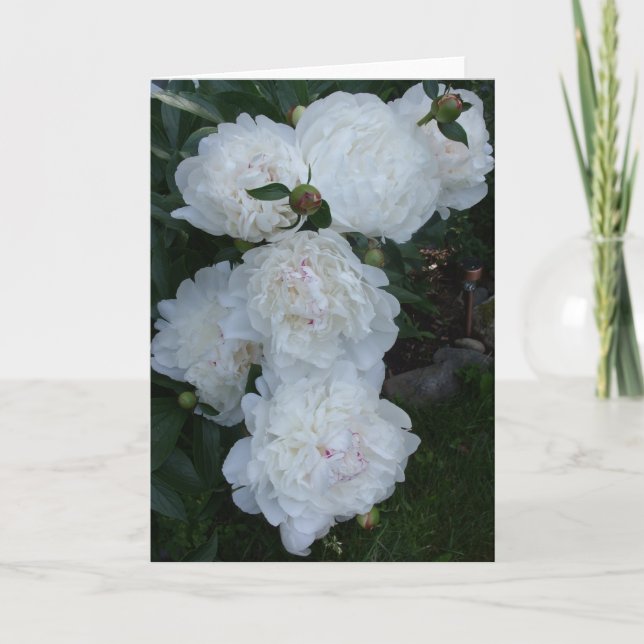 White peonies notecard (Front)