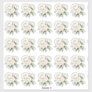 White Peonies Sticker
