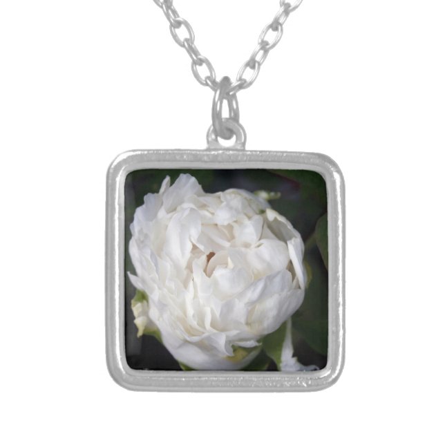 White Peony 1- Floral Photography - Silver Plated Necklace (Front)