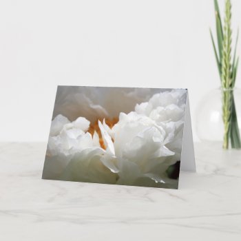 White Peony 2 Mother's Day Floral Photography Card by PBsecretgarden at Zazzle